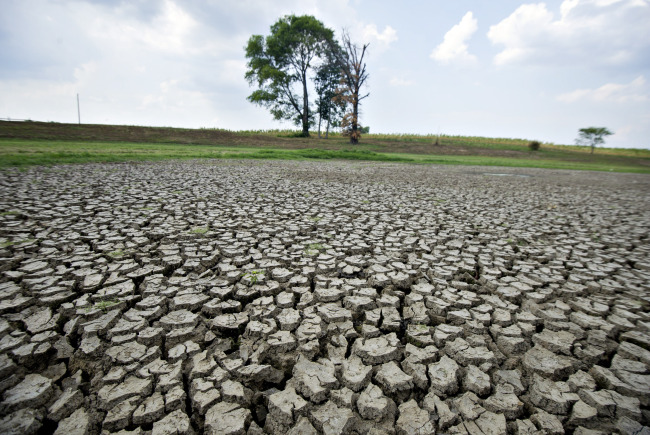 Cracked, dry ground is seen where a pond normally stands on the property of Ray Mercer in Crossville, Illinois, U.S.   Bloomberg