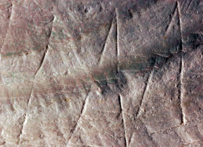 Engravings on the fossil Pseudodon shell   AFP-Yonhap