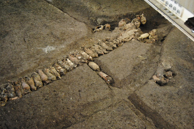 Lined up amphoras discovered during a subway construction in Rome.   AP Yonhap