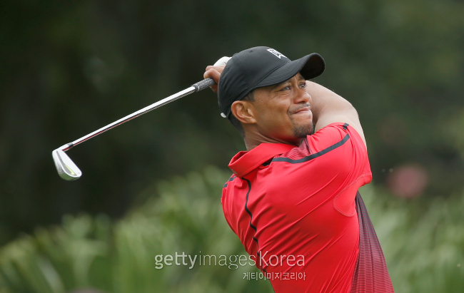 사진=Gettyimages/멀티비츠