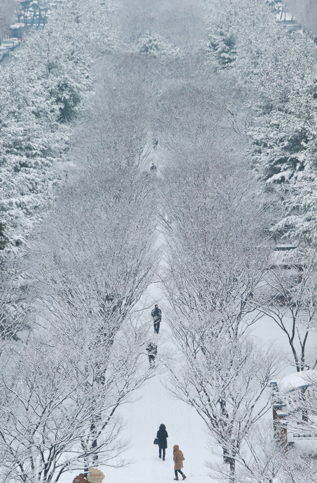 Citizens walk the snow-covered streets lined with trees in Daejeon on Monday. Heavy snow fell across the nation over the weekend and Daejeon saw 8 centimeters of snowfall overnight.   Yonhap
