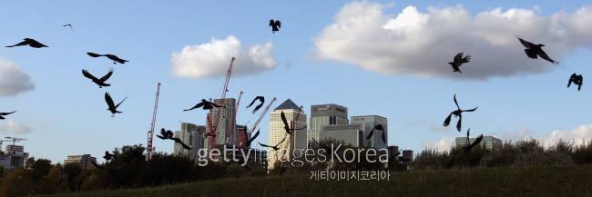 [사진 =게티이미지]
[사진 =게티이미지]