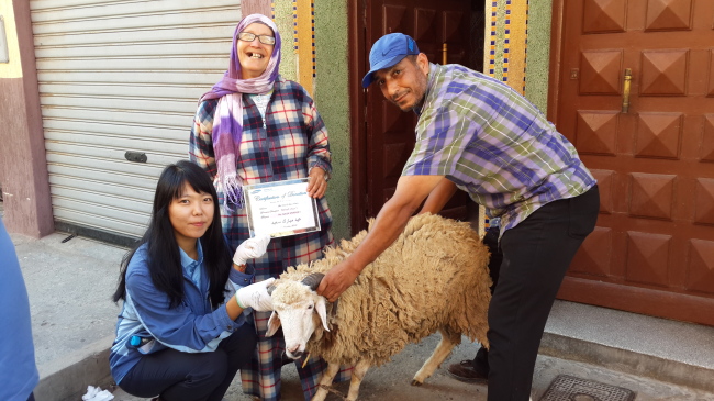Samsung C&T employee Kang Hye-won donates a ram to Moroccan residents during the Feast of the Sacrifice.   Samsung C&T