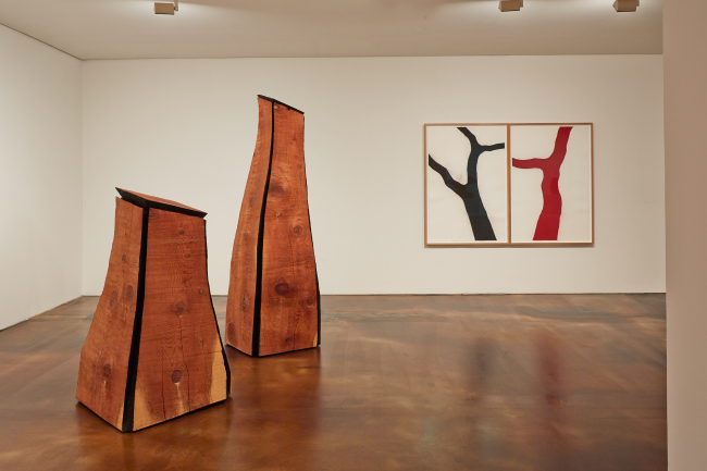Installation view of wood sculptures by David Nash.   Keith Park/Kukje Gallery