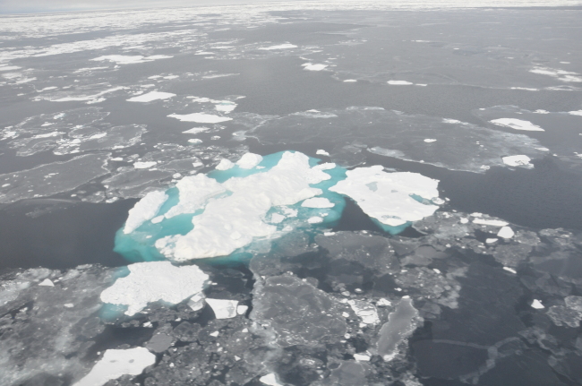 <YONHAP PHOTO-0441> As sea ice retreats in summer, in this 2014 image provided by NASA, more sunlight reaches the upper layers of the sea, triggering increased blooms of phytoplankton in the Bering Sea. Earth's icy northern region lost more of its signature whiteness that reflects the sun's heat. It was replaced temporarily with dark land and water that absorbs more energy, keeping yet more heat on already warming planet, according to the Arctic report card issued Thursday, Dec. 17, 2014.(AP Photo/NASA)/2014-12-18 05:57:06/ <저작권자 ⓒ 1980-2014 ㈜연합뉴스. 무단 전재 재배포 금지.>
As sea ice retreats in summer, in this 2014 image provided by NASA, more sunlight reaches the upper layers of the sea, triggering increased blooms of phytoplankton in the Bering Sea.    AP-Yonhap
As sea ice retreats in summer, in this 2014 image provided by NASA, more sunlight reaches the upper layers of the sea, triggering increased blooms of phytoplankton in the Bering Sea.    AP-Yonhap
As sea ice retreats in summer, in this 2014 image provided by NASA, more sunlight reaches the upper layers of the sea, triggering increased blooms of phytoplankton in the Bering Sea.    AP-Yonhap
As sea ice retreats in summer, in this 2014 image provided by NASA, more sunlight reaches the upper layers of the sea, triggering increased blooms of phytoplankton in the Bering Sea.    AP-Yonhap
