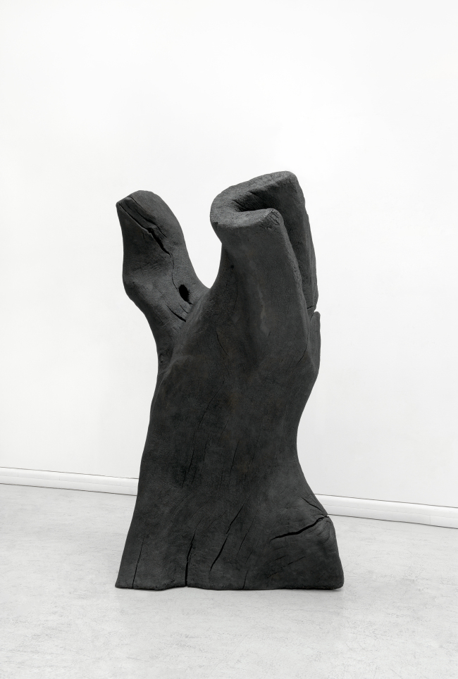 “Torso”