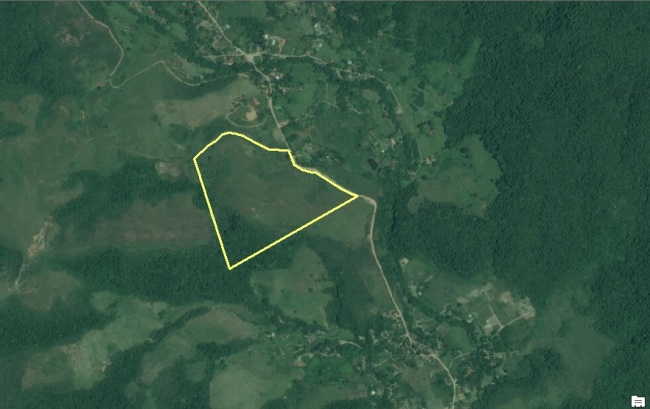 An aerial view of the future Seo Taiji Mania Forest in Brazil. Seo Taiji Co.