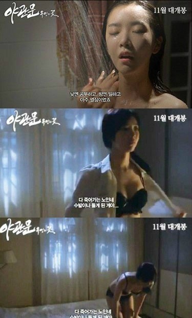 야관문 배슬기