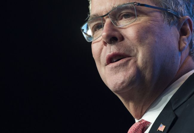 Jeb Bush