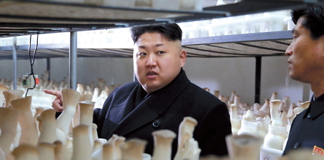 North Korean leader Kim Jong-un visits a newly built mushroom farm in Pyongyang in this photo released by the Korean Central News Agency on Saturday. (Yonhap)