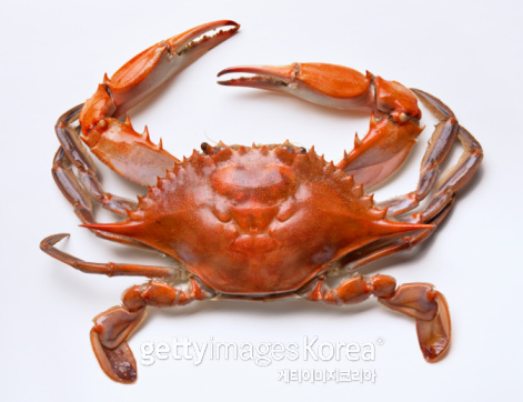 [사진=게티이미지]