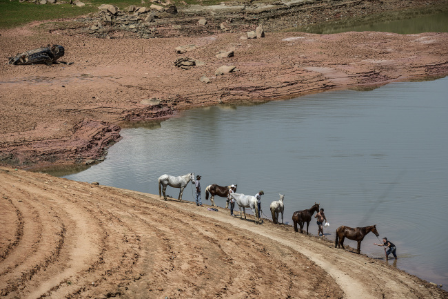 People water their horses at the Jaguari Reservoir near Sao Jose dos Campos in Sao Paulo.   Bloomberg