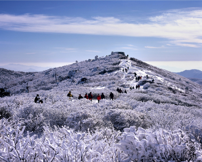 Snow-covered Mount Taebaeksan Gangwon Provincial Government