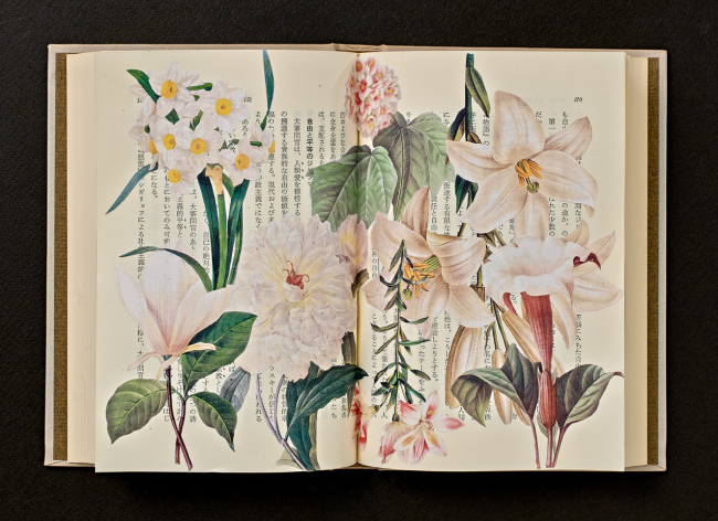“Your Garden 4” by Jihee Kim (Kumho Museum of Art)