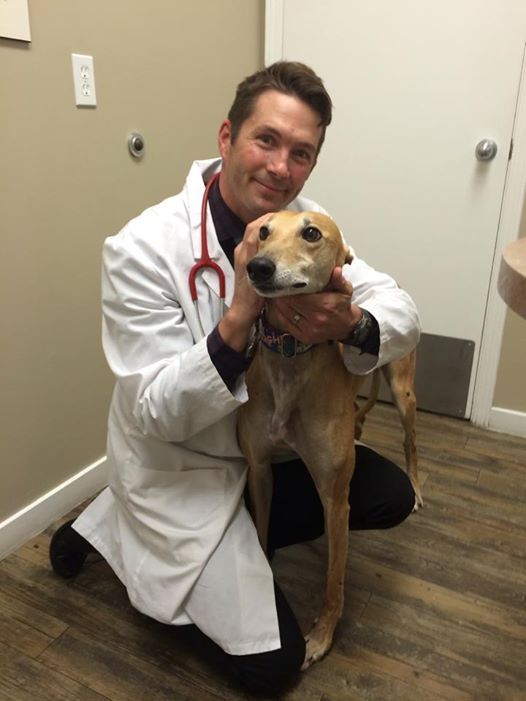 Veterinarian Steve Ganton poses with Inch after his relocation to Canada.   Team Inch