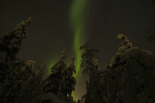 A breathtaking view of the aurora borealis in Lapland, Finland (Julie Jackson/The Korea Herald)
