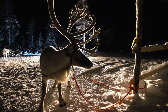 A Christmas postcard-like view outside the Santa’s Celebration
House at the Hotel Kakslauttanen in Saariselka, Finland (Julie Jackson/The Korea Herald)