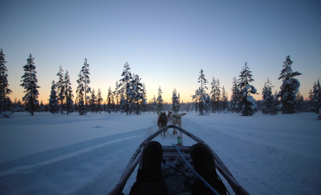 Take the reins of a group of Alaskan huskies as part of one of the
husky safari adventures offered by the Hotel Kakslauttanen in
Saariselka, Finland. (Julie Jackson/The Korea Herald)