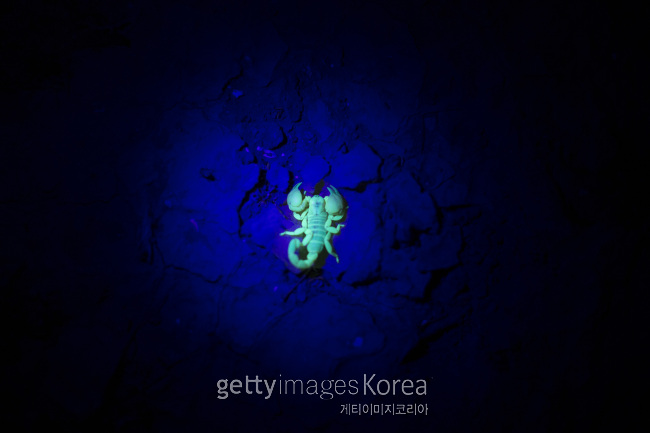 [사진=게티이미지]