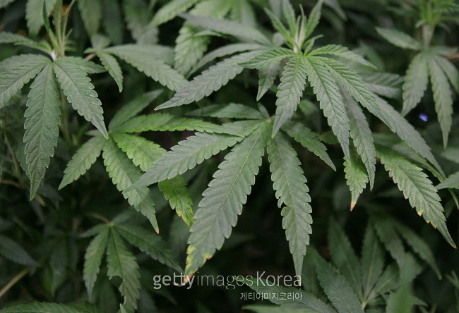 게티이미지