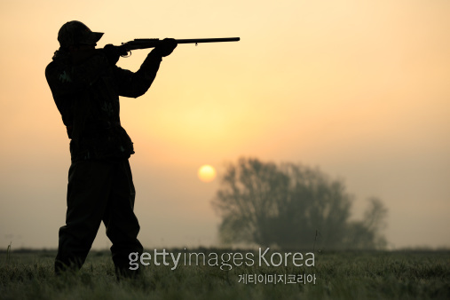 사진=Gettyimages/멀티비츠