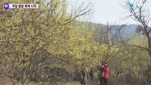 완연한 봄날씨, “내일은 오늘보다 더 따뜻해…3월 하순 날씨” . 사진=방송캡처