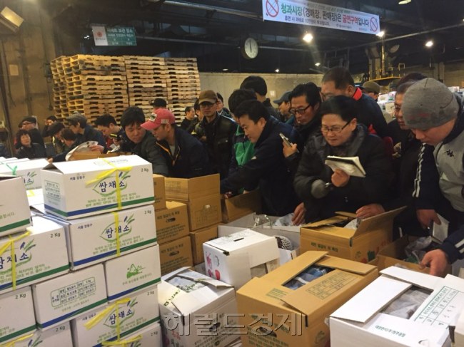 가락동 농수산물 도매시장에서 중도매상인들이 몸싸움을 벌이며 경매에 나온 쌈채소 상품을 살펴보고 있다. [사진=김진원 기자]