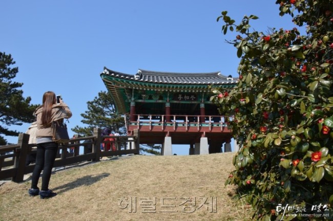 ▲사진4=동백꽃이 핀 동백정