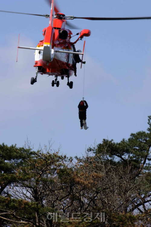 헤럴드경제DB