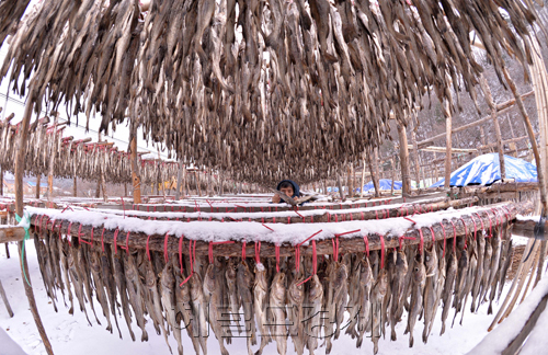 이상섭 기자/babtong@heraldcorp.com