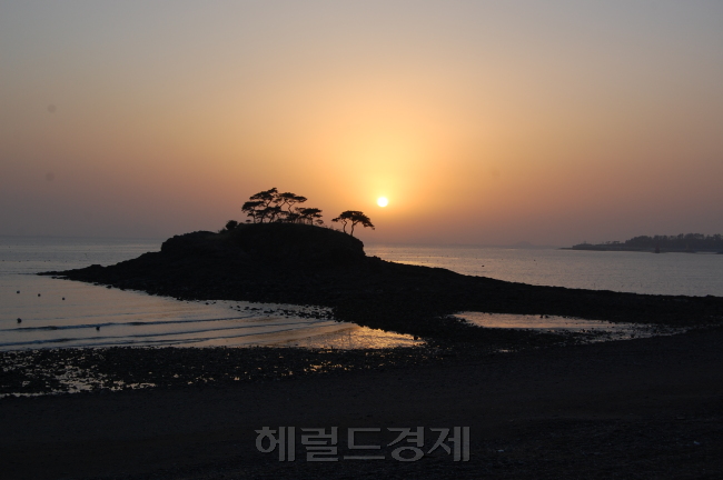사진=신수정 기자/ssj@heraldcorp.com