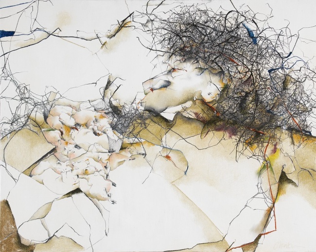 Animalgenic #01, 캔버스에 연필, 파스텔, 아크릴, 80x100㎝, 2004 [사진제공=송은아트스페이스]