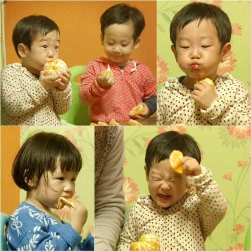 ‘슈퍼맨’ 지온 서언 서준, 동갑내기들의 차원다른 ‘한라봉 먹방쇼’