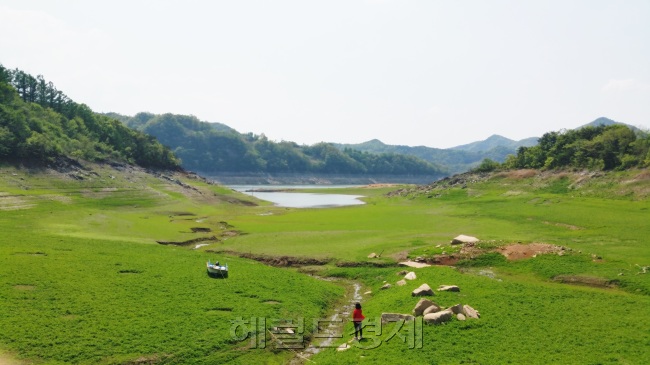 청풍호는 1985년 충추댐 준공으로 만들어진 호수다. 제천에서는 청풍호라 부르지만, 충주 쪽에서는 충주호라고 불린다. 저수량 27억톤이 넘을 정도로 담수량이 커 ‘내륙의 바다’라고 불리기도 한다. 4~5월 갈수기의 청풍호가 짙은 녹색 바닥을 드러냈다. 사진=김아미 기자/amigo@heraldcorp.com