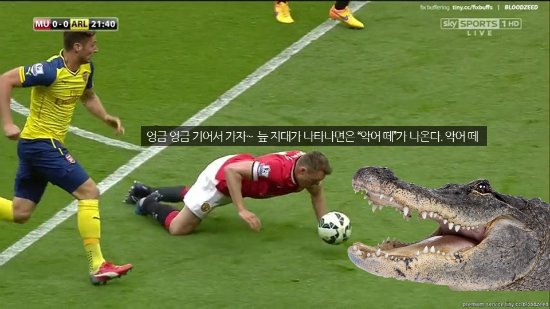 악어떼가 나왔다! ⓒSkySports 방송 캡처