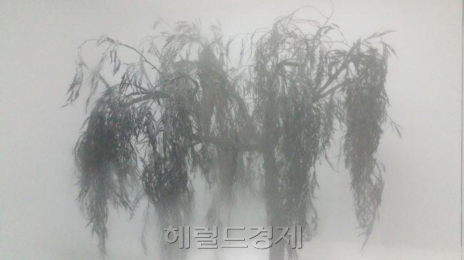 이기봉, There is no place, 유리ㆍ포그머신ㆍ인공잎사귀 등 가변설치, 2008/2015 [사진=김아미 기자/amigo@heraldcorp.com]