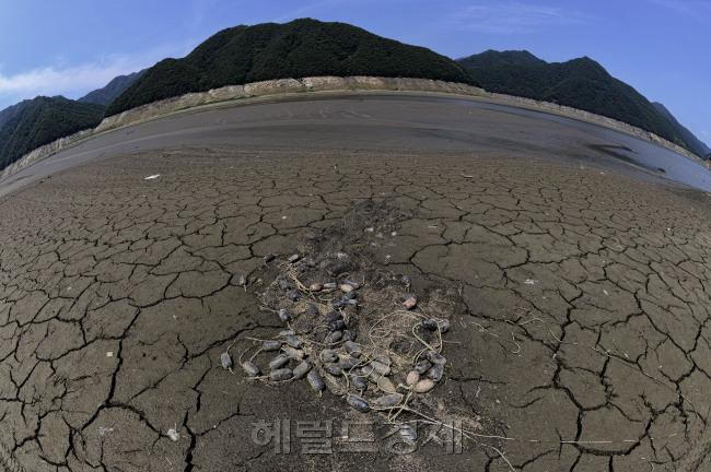 말라버린 소양강 바닥. 마치 모자이크처럼 말라버린 강바닥이 마치 다른 행성에 온 듯한 착각을 일으키게 만든다.