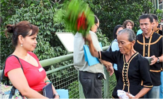A Bobohizan or traditional Kadazandusun priestess uses a bouquet of seven specially selected plants to bless delegates at an event in Sandakan, Sabah. The Star