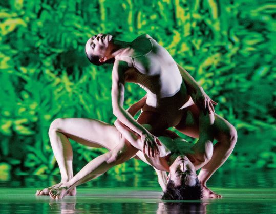 “Rice” by Cloud Gate Theater (LG Arts Center)