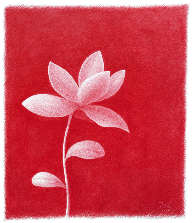 김태영, 소적화(小赤花), 38.2×43.9㎝, 종이에 볼펜, 2015 [사진제공=갤러리가비]