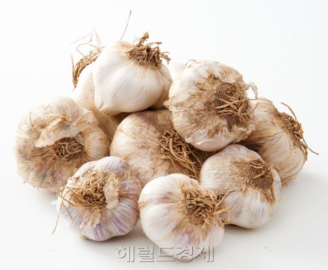 ［사진출처=헤럴드경제DB］