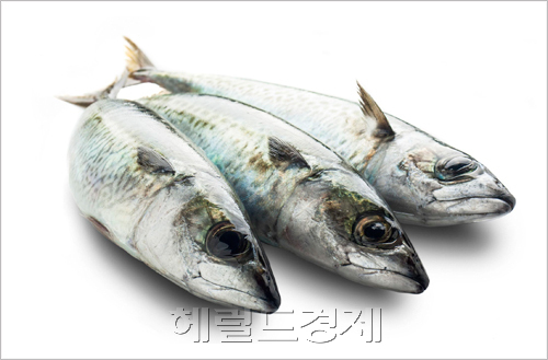 ［사진출처=헤럴드경제DB］