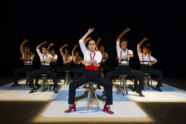 A performance by the Ballet Flamenco de Andalucia to take part in the upcoming 18th Seoul International Dance Festival starting Sept. 30.   Courtesy of Luis Castilla