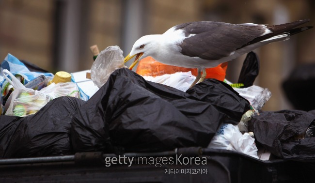 [사진=게티이미지]