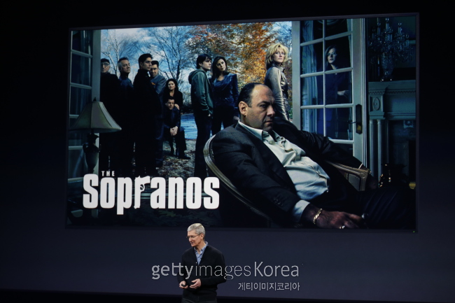 애플 CEO 팀 쿡.