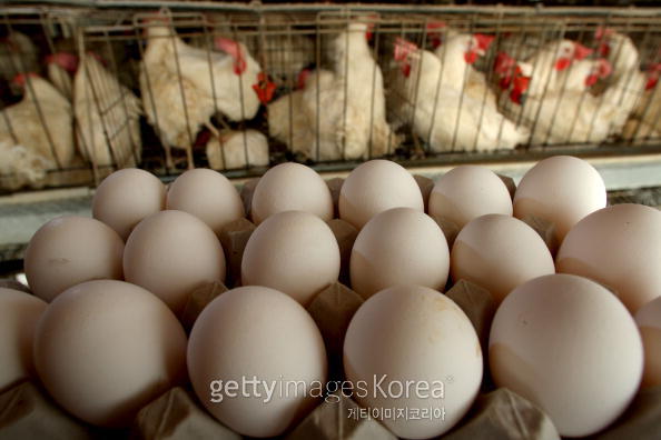 [사진=게티이미지]