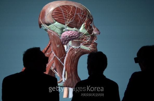 [사진=게티이미지]