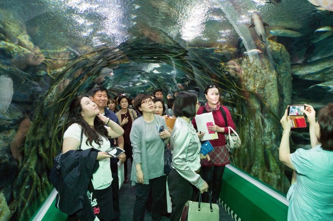<YONHAP PHOTO-2855> 롯데월드 아쿠아리움, 서울민간어린이집 연합회 임원단 초청행사 (서울=연합뉴스) 30일 서울 송파구 잠실 롯데월드 아쿠아리움에서 사단법인 서울특별시민간어린이집연합회 임원과 지회장, 원장단 90여 명이 아쿠아리움을 관람하고 있다. 2015.9.30 << 롯데월드 제공 >> photo@yna.co.kr/2015-09-30 16:18:45/ <저작권자 ⓒ 1980-2015 ㈜연합뉴스. 무단 전재 재배포 금지.>
<YONHAP PHOTO-2855> 롯데월드 아쿠아리움, 서울민간어린이집 연합회 임원단 초청행사 (서울=연합뉴스) 30일 서울 송파구 잠실 롯데월드 아쿠아리움에서 사단법인 서울특별시민간어린이집연합회 임원과 지회장, 원장단 90여 명이 아쿠아리움을 관람하고 있다. 2015.9.30 << 롯데월드 제공 >> photo@yna.co.kr/2015-09-30 16:18:45/ <저작권자 ⓒ 1980-2015 ㈜연합뉴스. 무단 전재 재배포 금지.>