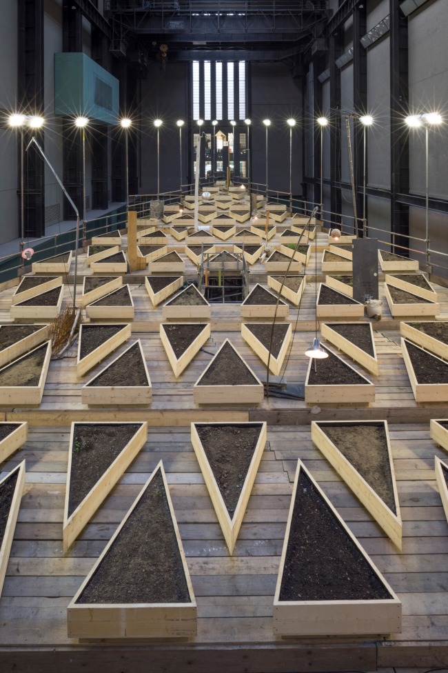 Abraham Cruzvillegas: Empty Lot/Abraham Cruzvillegas (Photo courtesy of Andres Dunkley and TATE 2015)