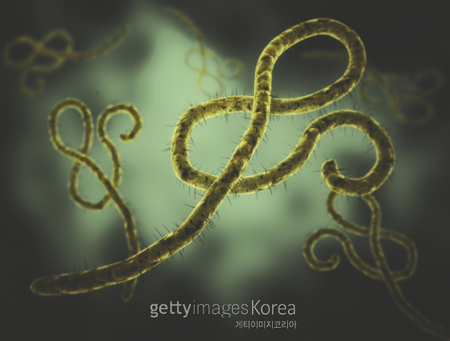 [사진=게티이미지뱅크]